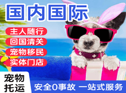 锡林浩特机场物流国际宠物托运 【国
